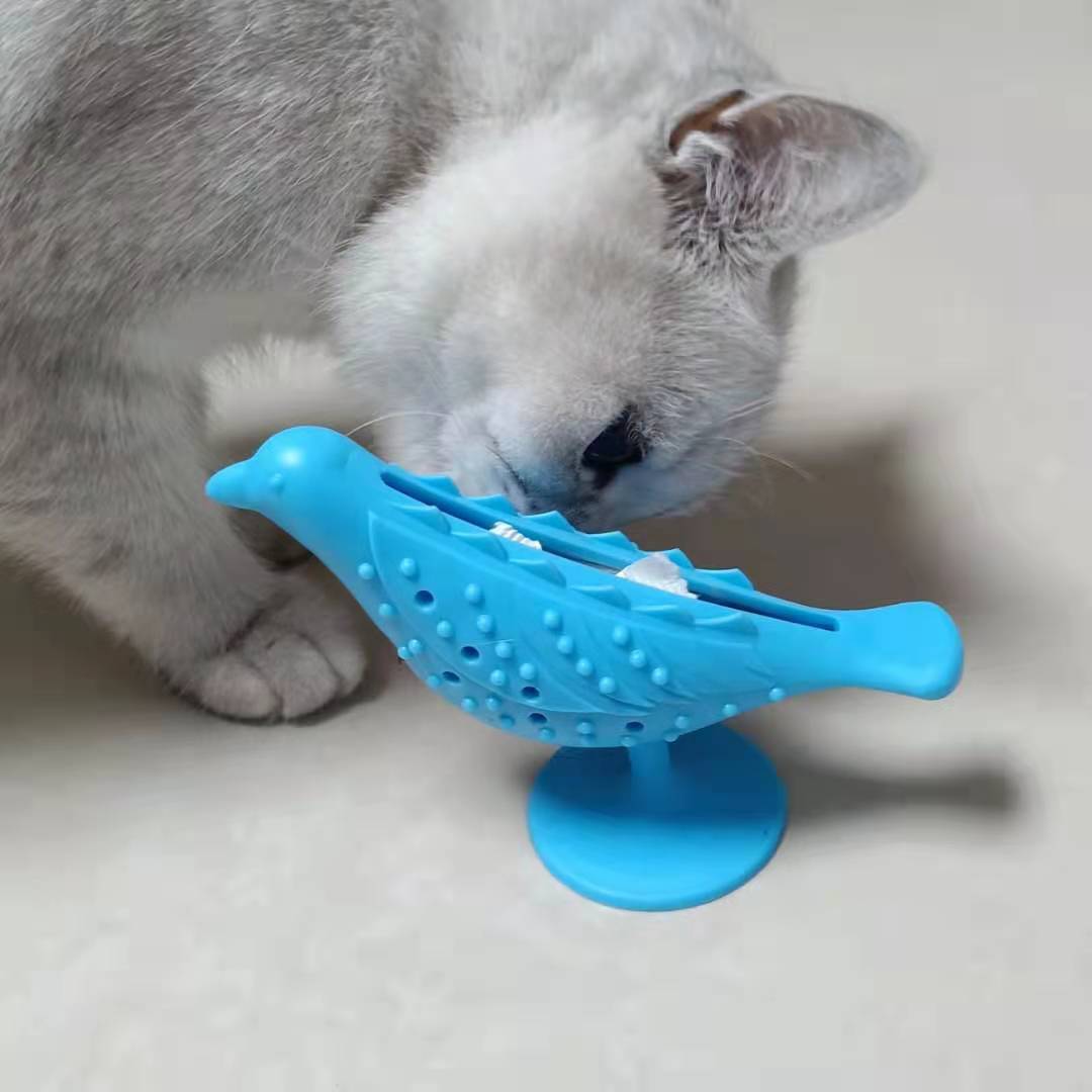 New bird cat toy, anti-choking and anti-leakage toy, cat toothbrush, teeth grinding, teeth cleaning, chewing, boredom, self-entertainment pet supplies Application Scenario