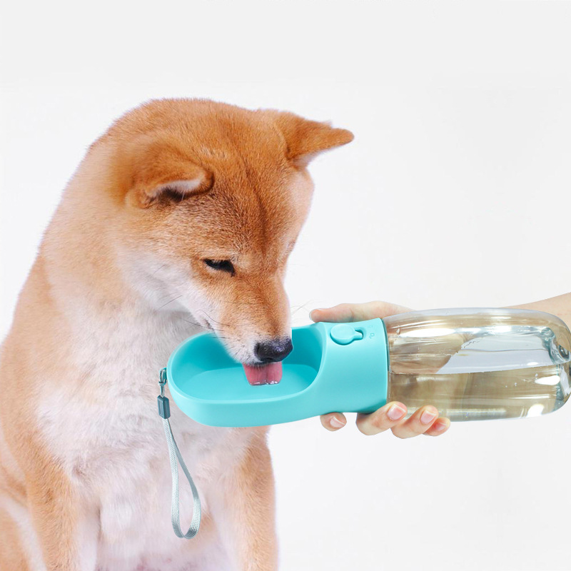 500ML宠物用品猫狗户外水瓶大容量水壶便携活性炭过滤可回流水杯
