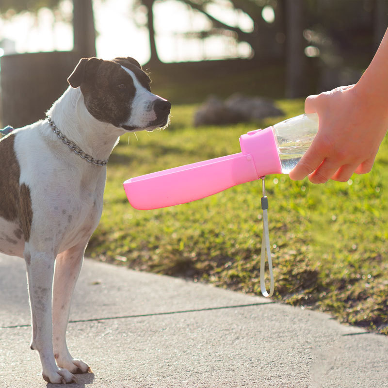 外出用品户外猫咪喂水饮水器宠物狗狗大容量便携折叠水杯水壶