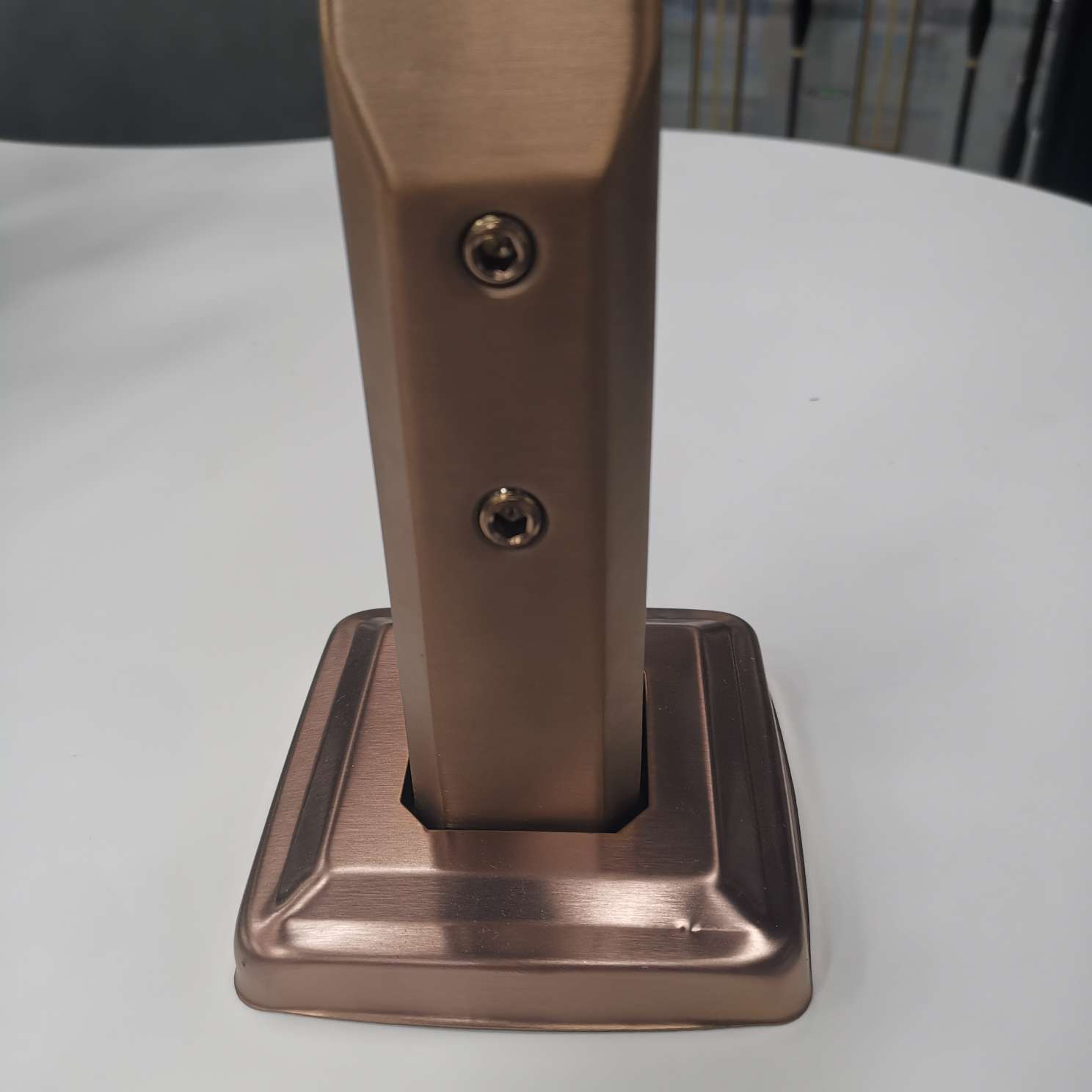 Stainless Steel Pool Clamp, Glass Clamp, Glass Railing Application Scenario