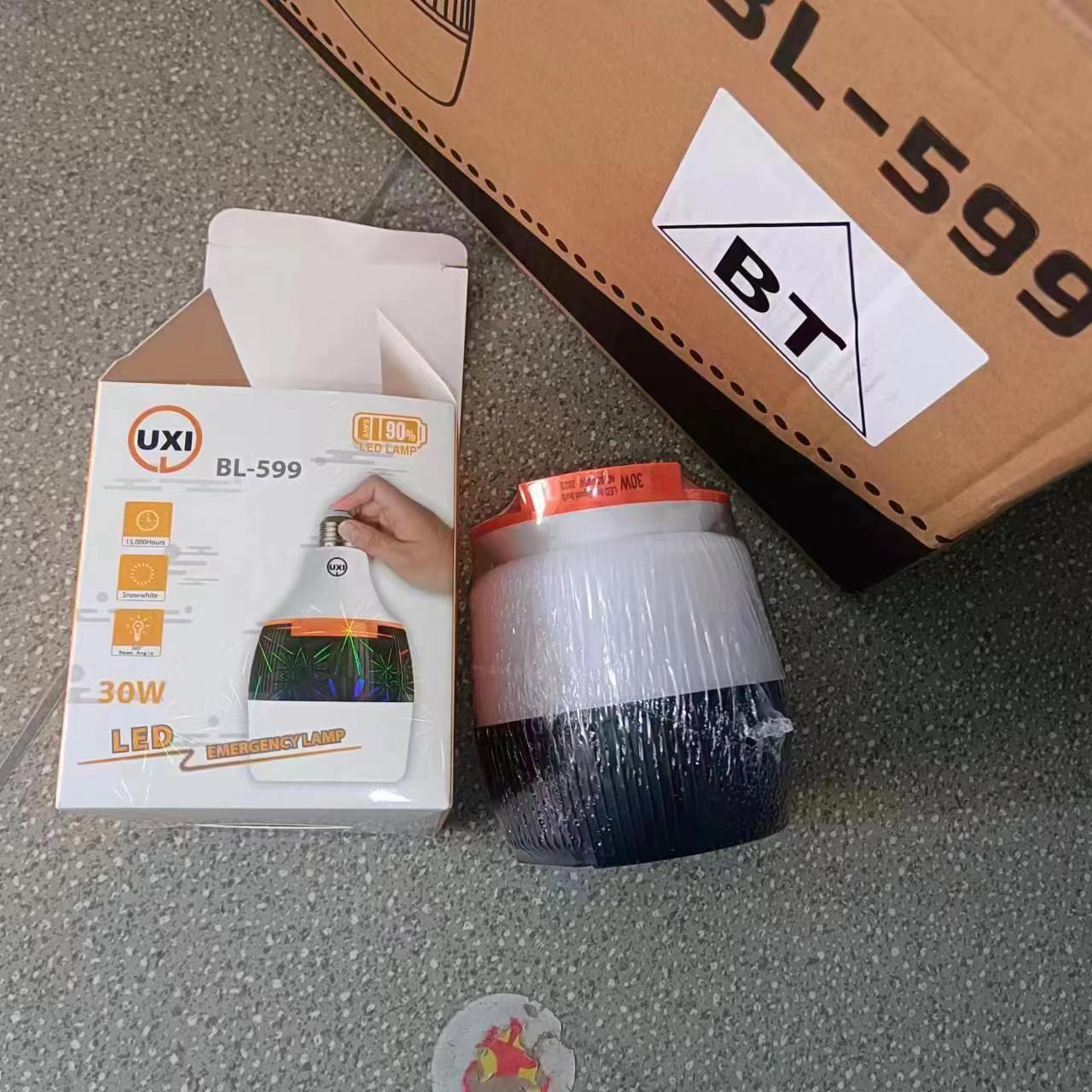 599 Emergency Light 30W