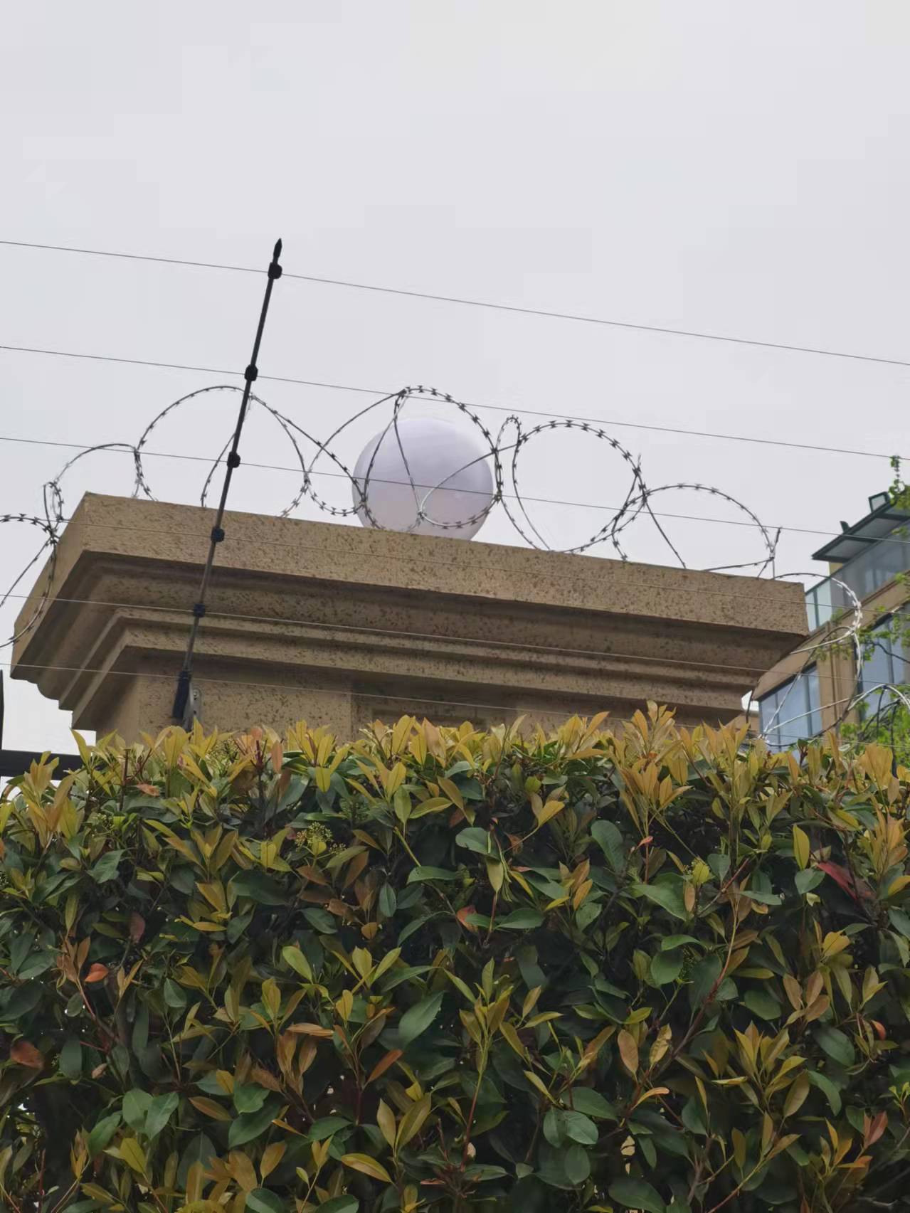 أسلاك شائكة من الفولاذ الخيشومية المصنوعة من الصلب غير القابل للصدأ من الشباك الخيشومية المصنوعة من الفولاذ الخيشومية المصنوعة من الفولاذ الخيشومية المصنوعة من الفولاذ الخيشومية المصنوعة من الشباك الخيشومية المصنوعة من الفولاذ الخيشومية المصنوعة من الشباك الخيشومية المصنوعة من الفولاذ المصنوع الشباك الخيشومية الواقية من الشباك الخيشومية المصنوعة من الشباك الخيشومية المصنوعة من الفولاذ المصنوع الشباك details Picture