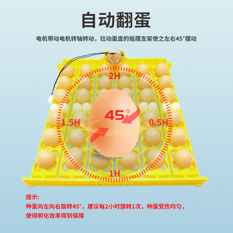 回答：家用孵化器/36枚鸡蛋/自动翻蛋/鸡鸭鹌鹑/孵化蛋盘/带电机细节图