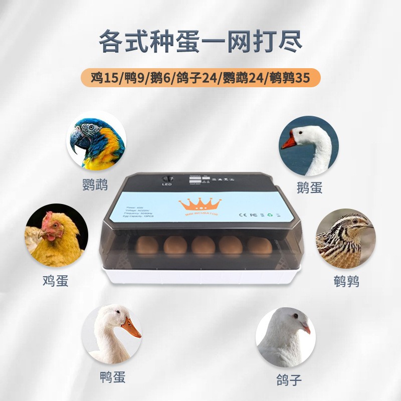 15枚小型家用孵化机实验教学小型农场孵化器全自动鸡鸭鹌 鹑孵蛋器详情图4