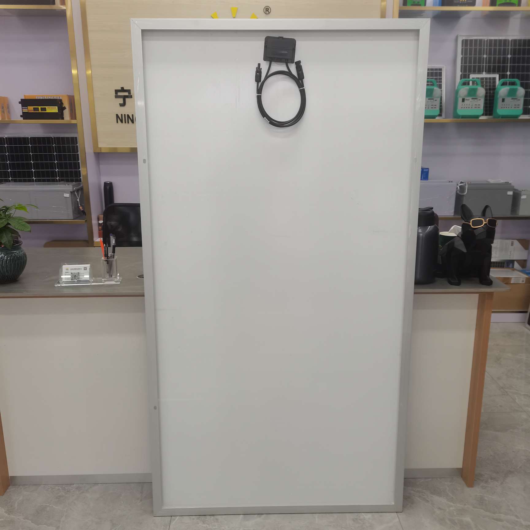 300W Single Crystal Solar Panel details Picture