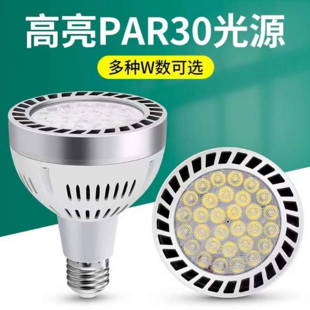Rar30 Light Source Parlight