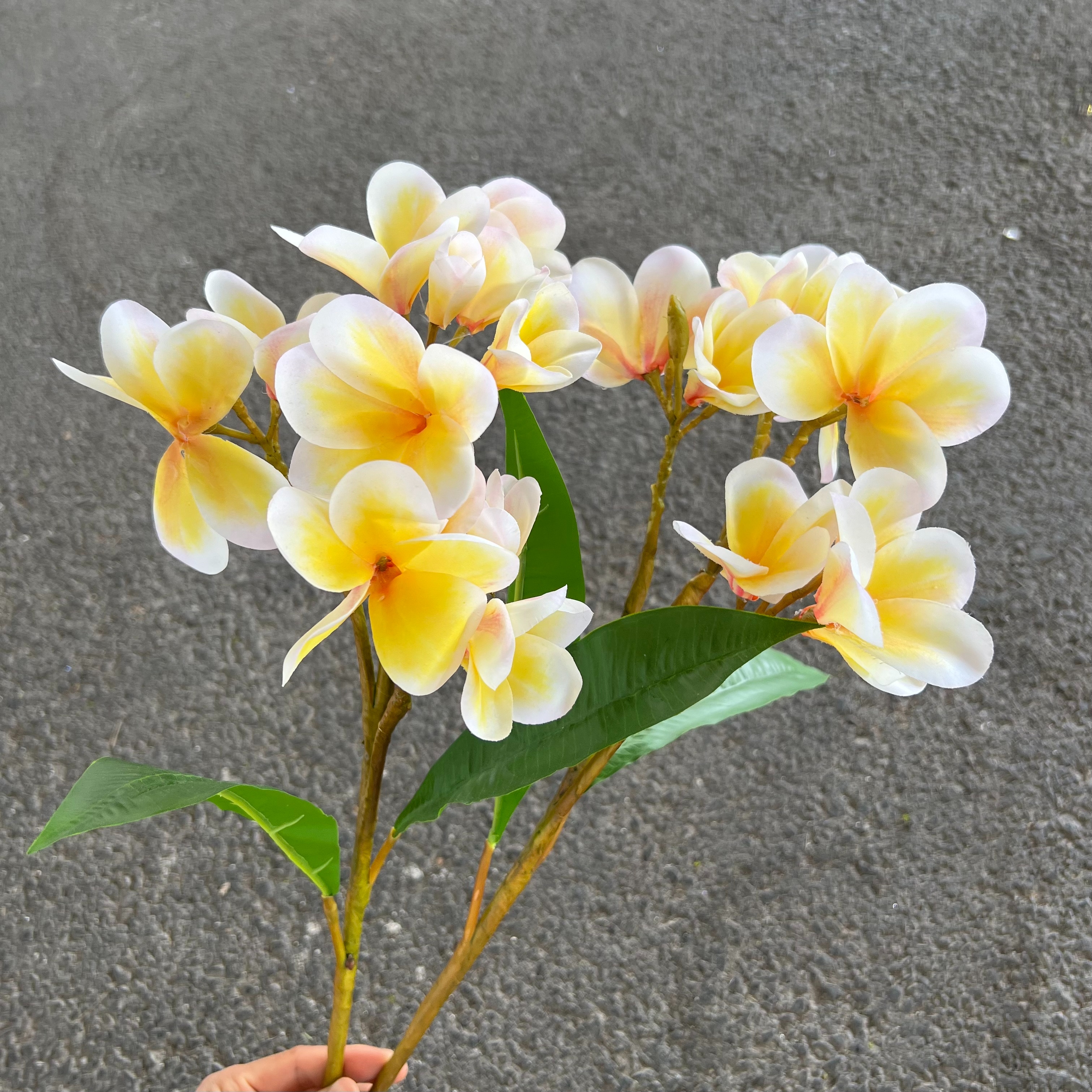 Simulación de flores frangipani tela de seda 3D hotel de lujo sala de estar colocación de basalto arreglo de dormitorio para el hogar lugar de boda decoración suave Specification image