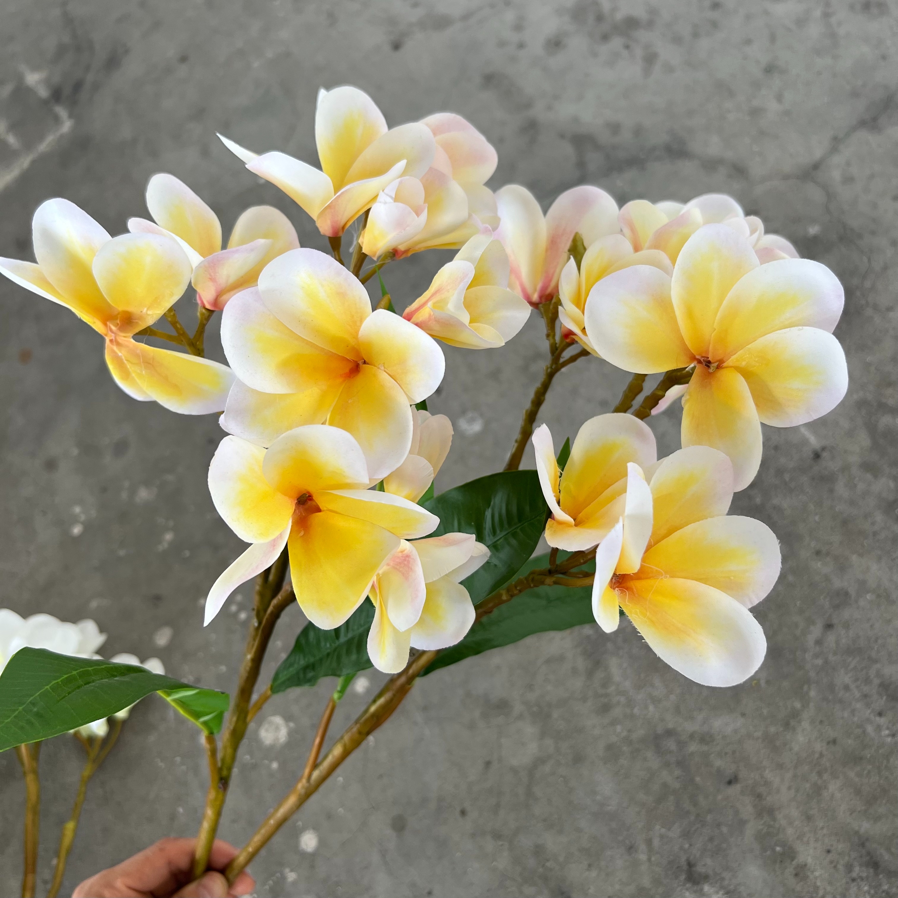 Simulación de flores frangipani tela de seda 3D hotel de lujo sala de estar colocación de basalto arreglo de dormitorio para el hogar lugar de boda decoración suave details Picture
