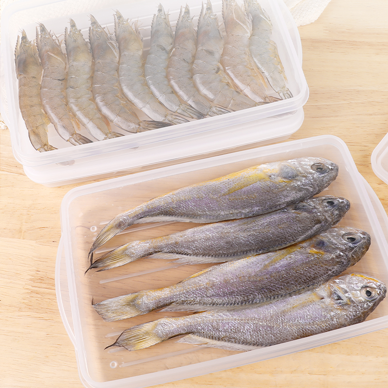 sanada Japanese imported fresh meat box, fresh-keeping box, plastic sealed box, refrigerator storage box, freezer box, rectangular food box, 500ML details Picture