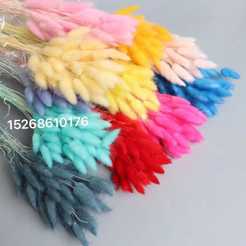 Rabbittail Dried flower Eternal Flower Natural bouquet Small reed Pamperia leaf sunflower fan wedding decoration flower Picture frame glass cover flower accessories Specification drawing