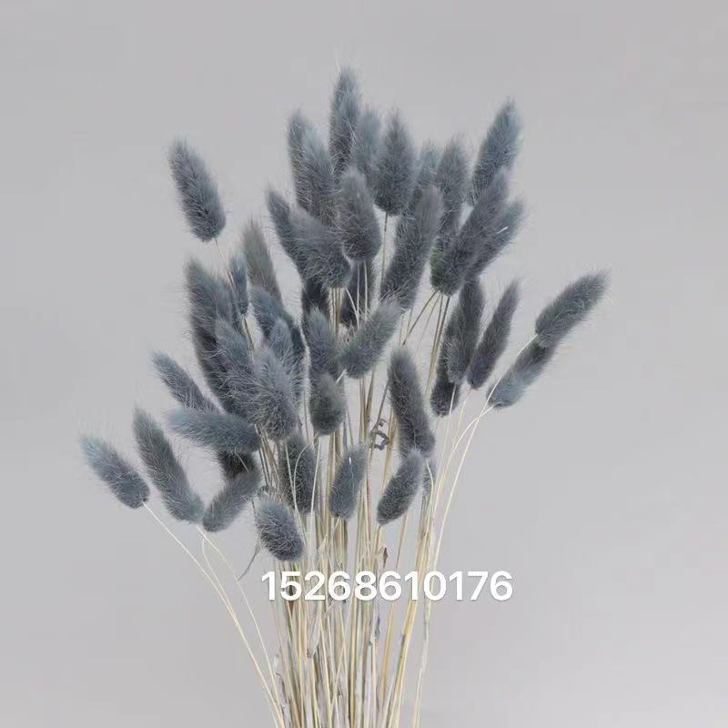 Rabbittail Dried flower Eternal Flower Natural bouquet Small reed Pamperia leaf sunflower fan wedding decoration flower Picture frame glass cover flower accessories Item Picture