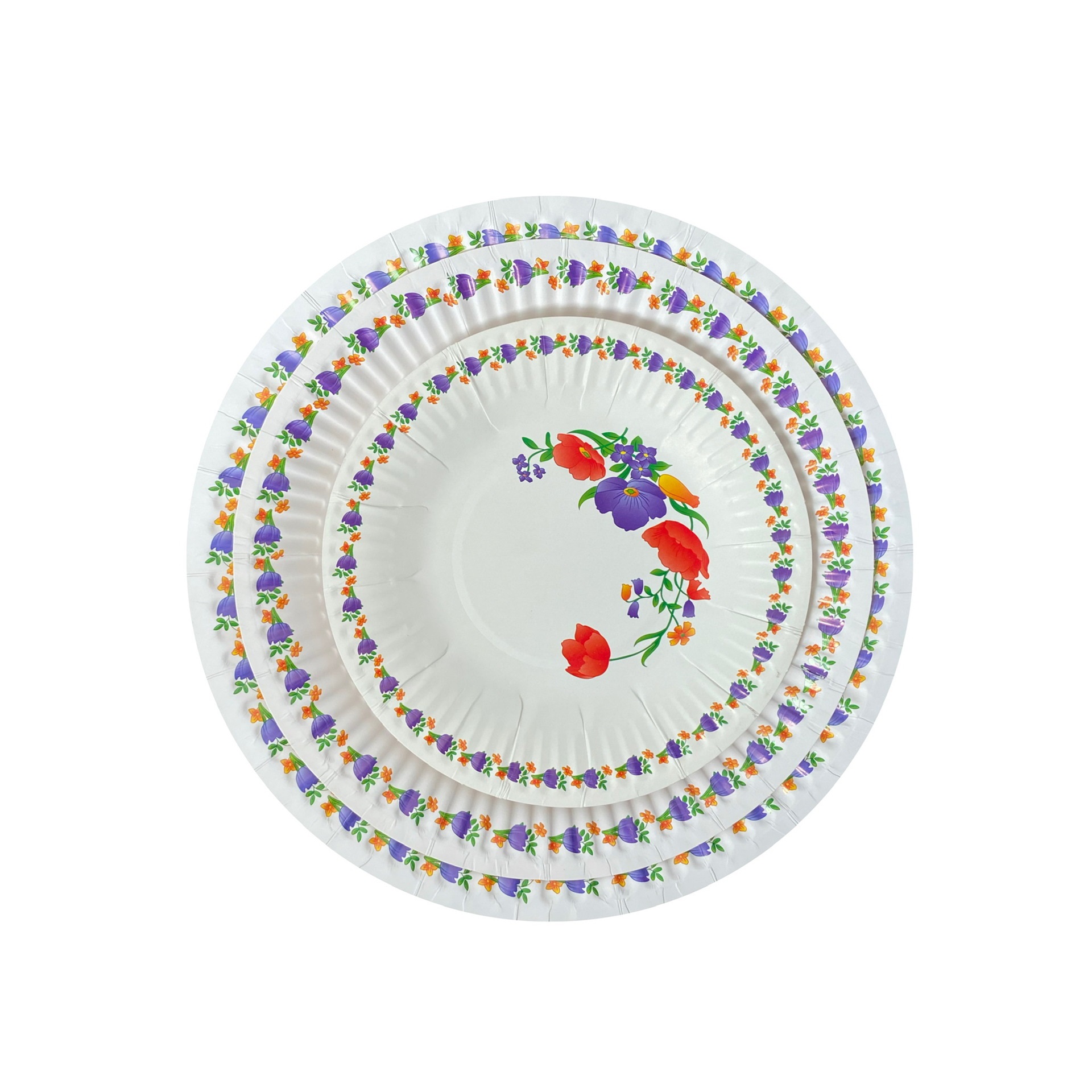 Disposable Daffodil Printed Paper Plate details Picture