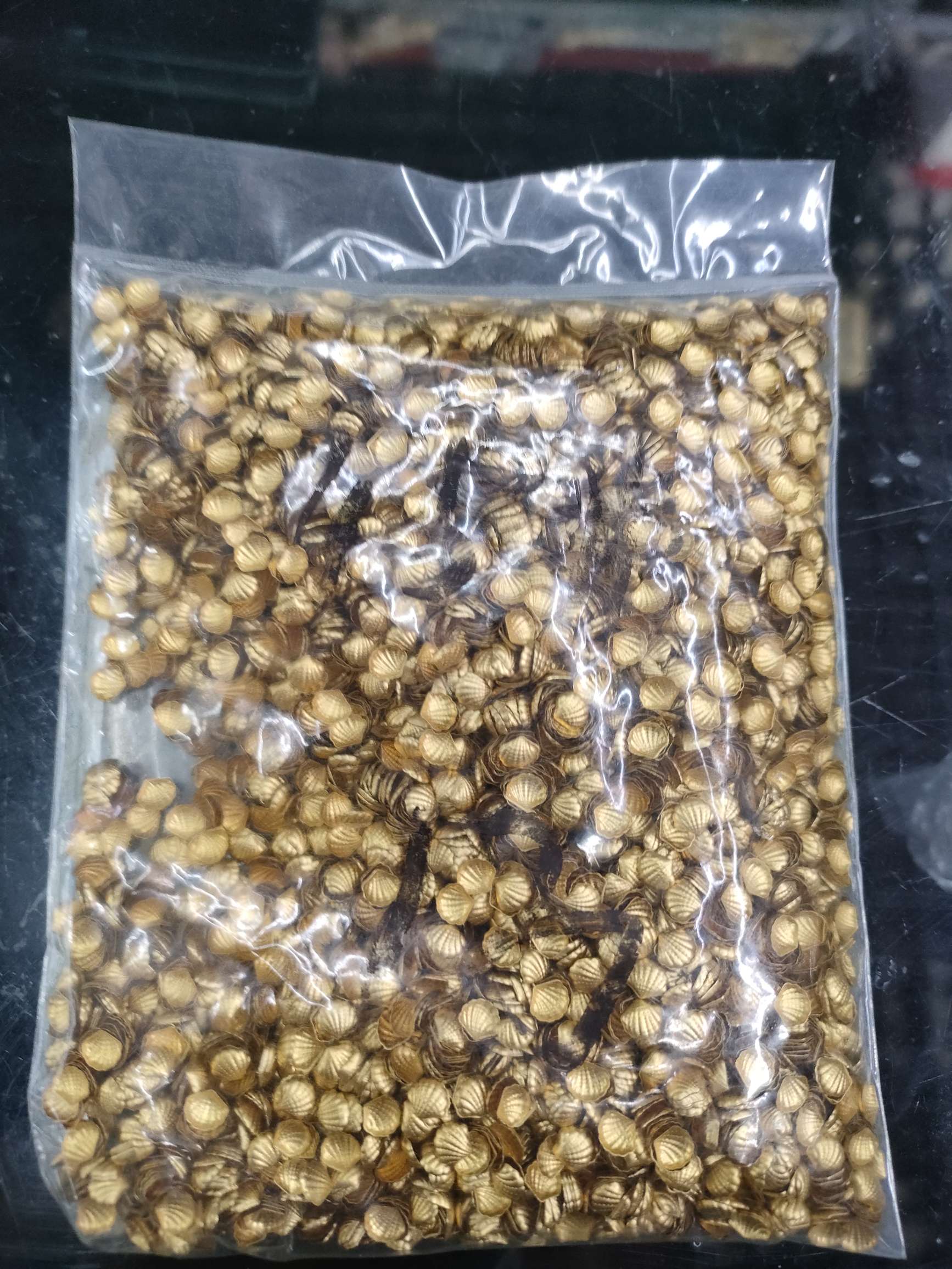 美甲饰品实物图