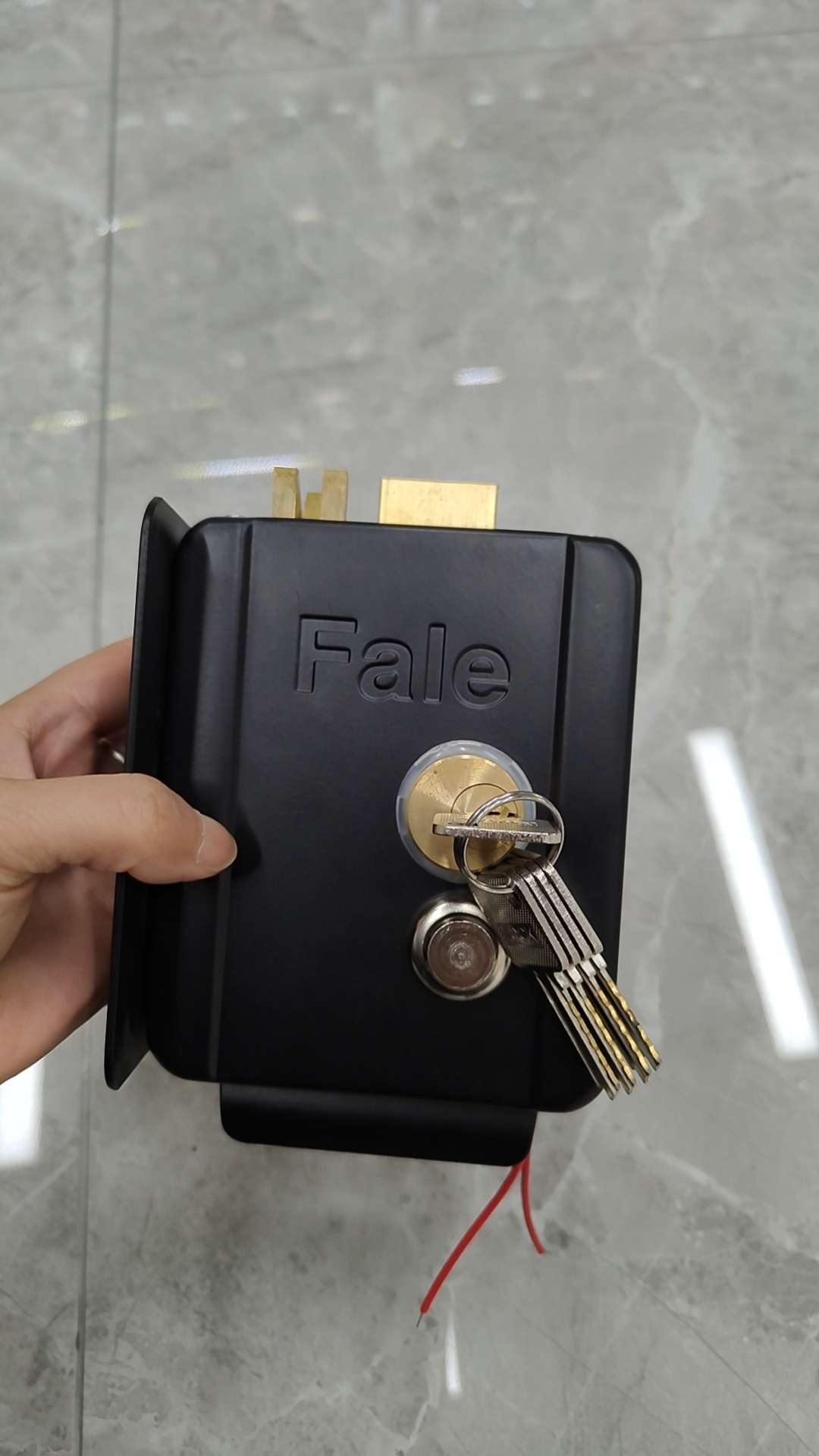 Cerradura de puerta de control eléctrico 2