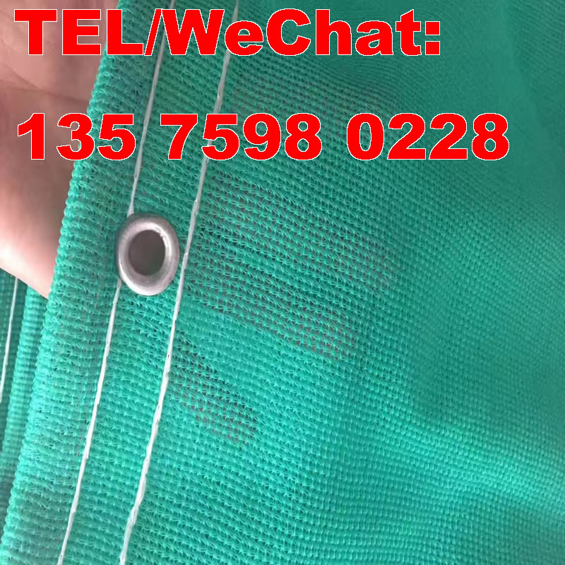 Building  Protection Net,Plastic Mesh thumbnail