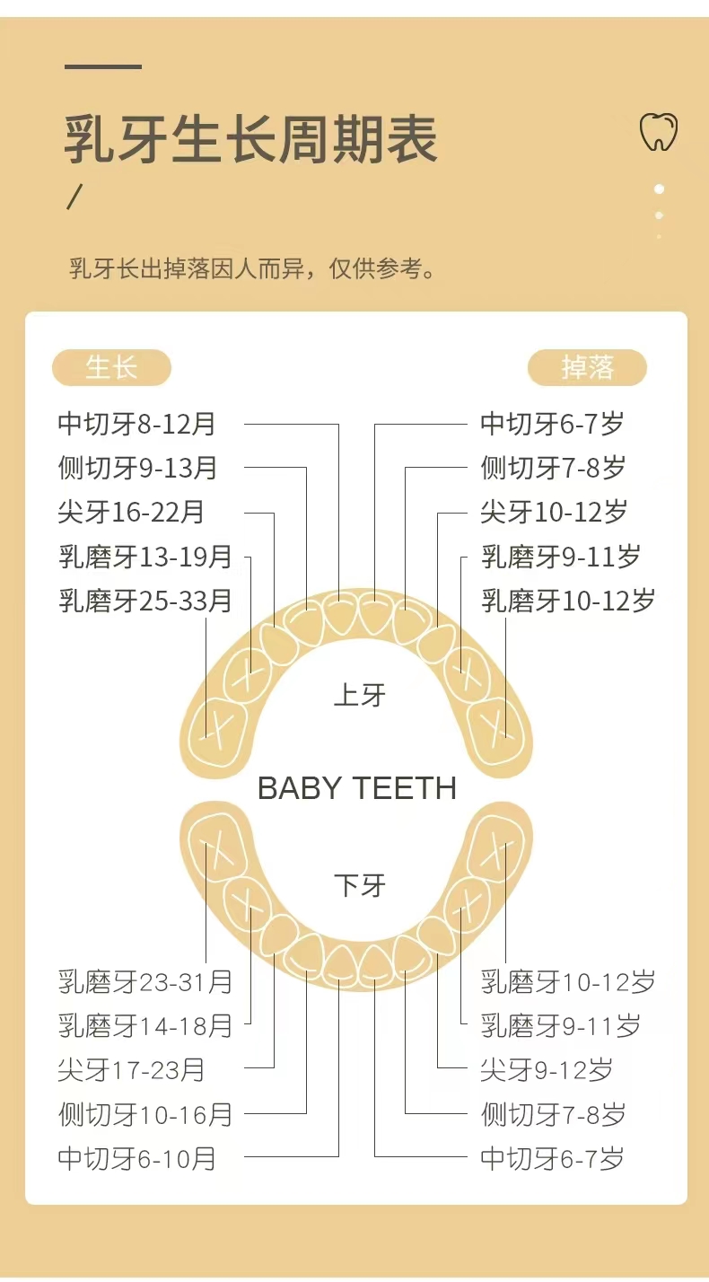 松木质男女宝宝彩绘乳牙收纳盒批发婴儿胎毛牙齿收藏纪念盒详情11