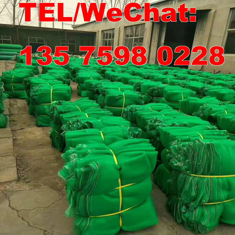 Building    Safety    Net, Plastic Mesh thumbnail