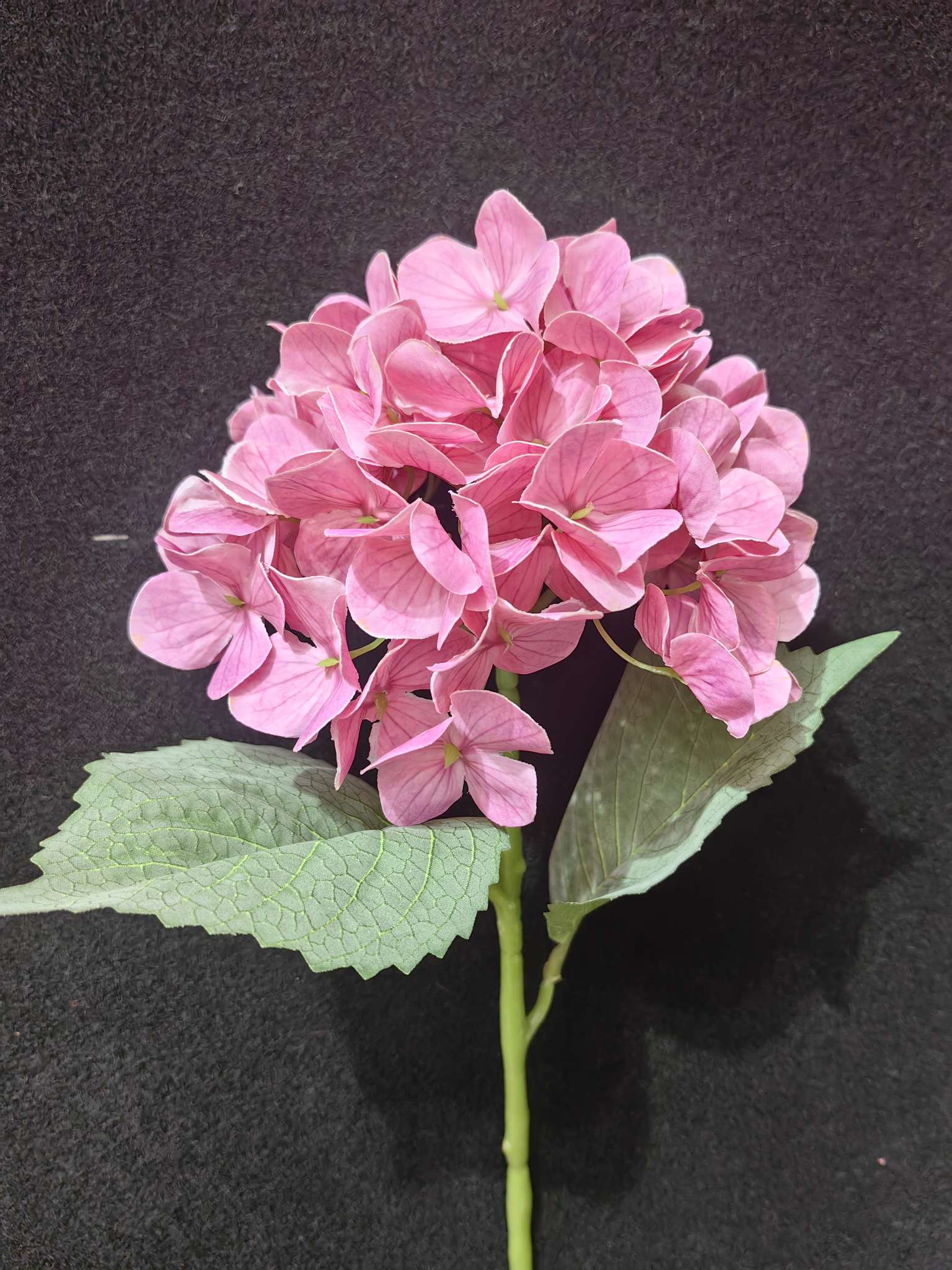 3D Feel Moisturizing Hydrangea Simulation Flower 60Cm High Home Living Room Decoration Wedding Foreign Trade Cross-Border For High-Grade Fake Flowers