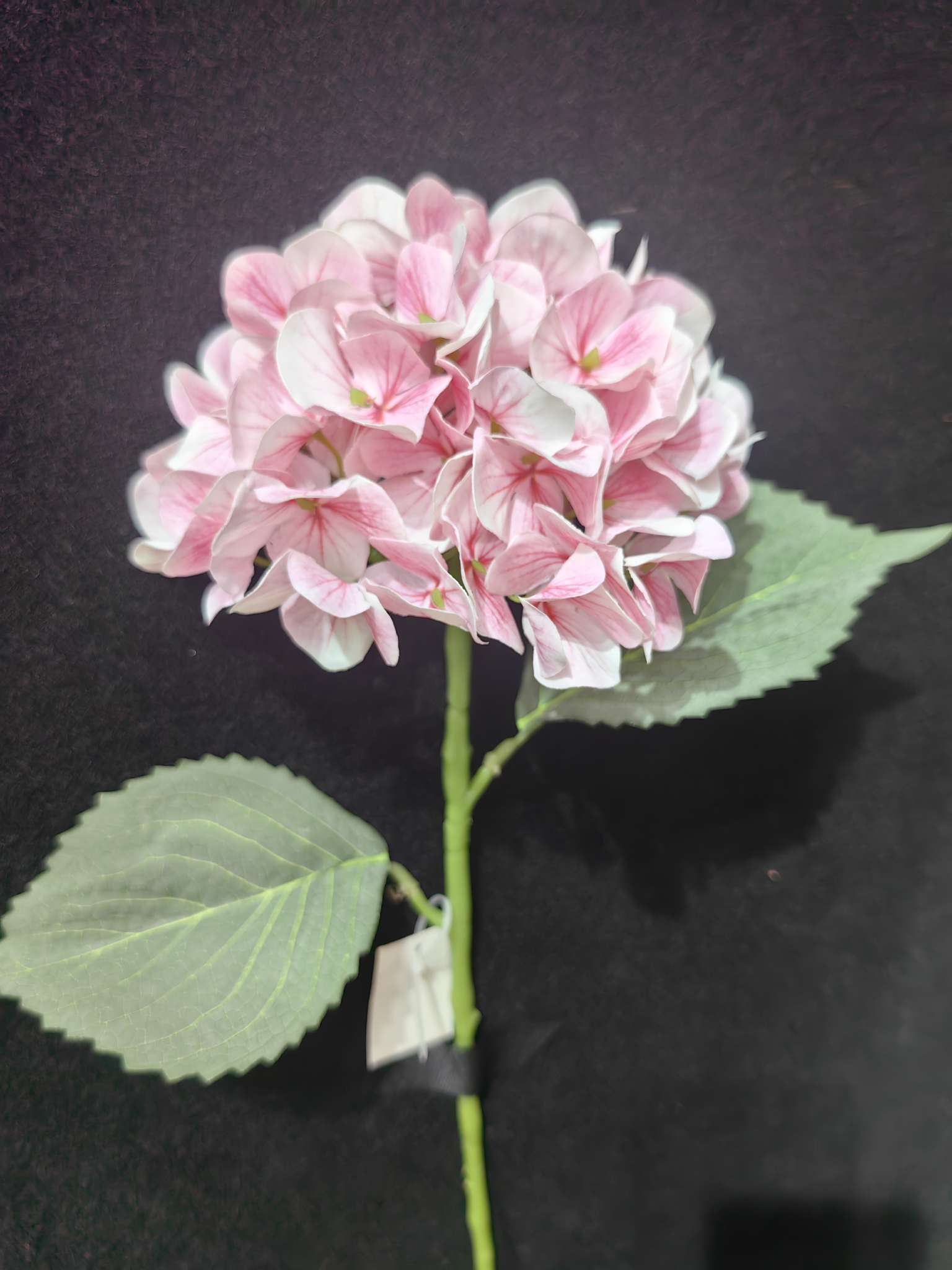 3D Feel Moisturizing Hydrangea Simulation Flower 60Cm High Home Living Room Decoration Wedding Foreign Trade Cross-Border For High-Grade Fake Flowers Application Scenario