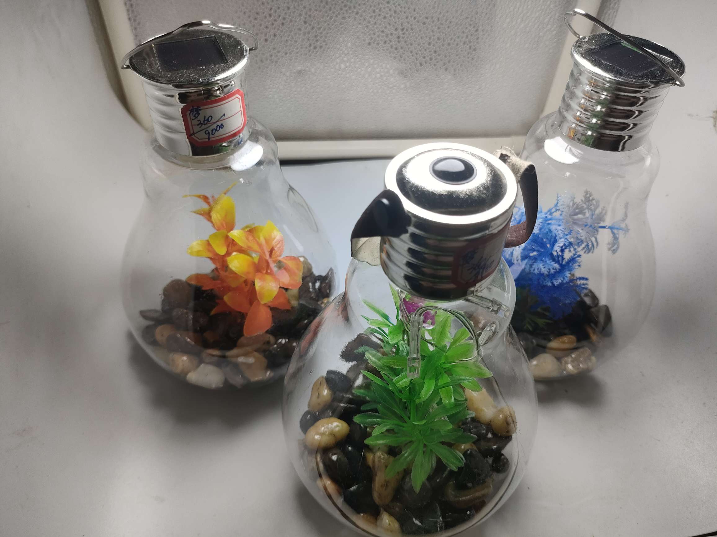 限时抢购！创意生态瓶彩塑灯泡，太阳能驱动，学校办公室客厅景观必备，地摊货源厂家直销，不买你会后悔！