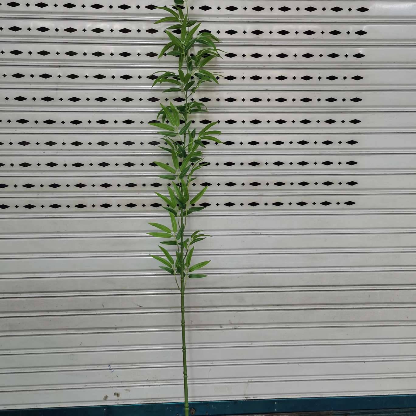 20支一包