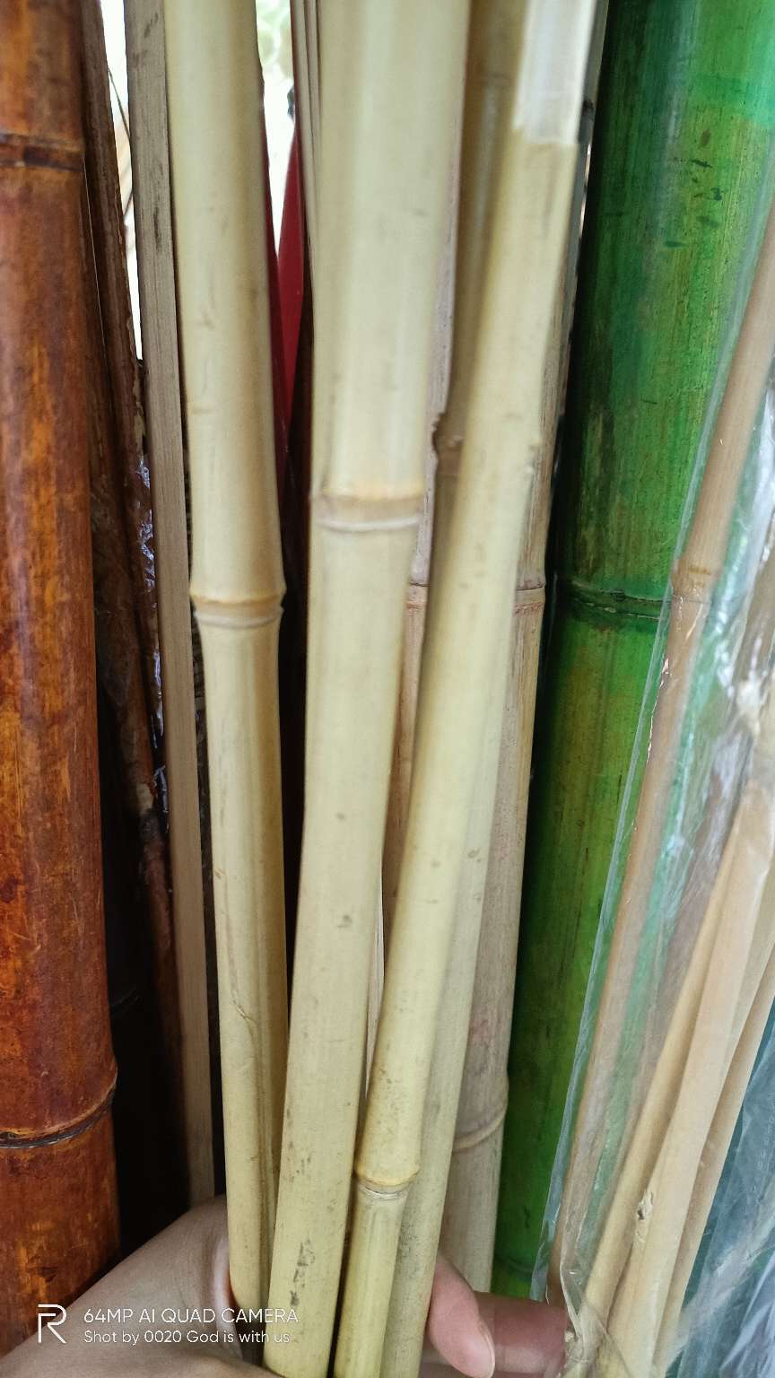 干花装饰 竹子工艺品 干竹子 背景装饰详情图1