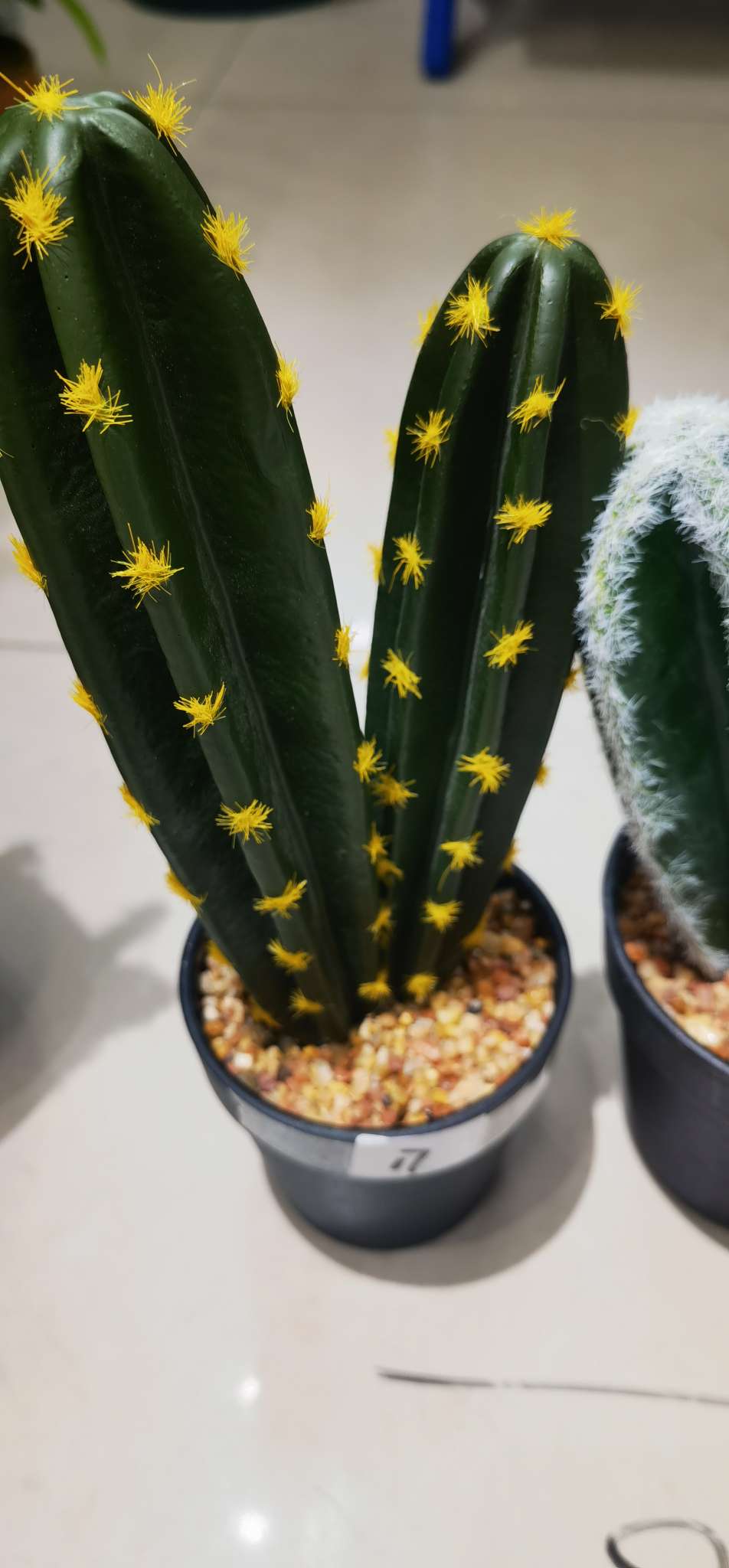 仙人掌/仿真植物盆栽细节图