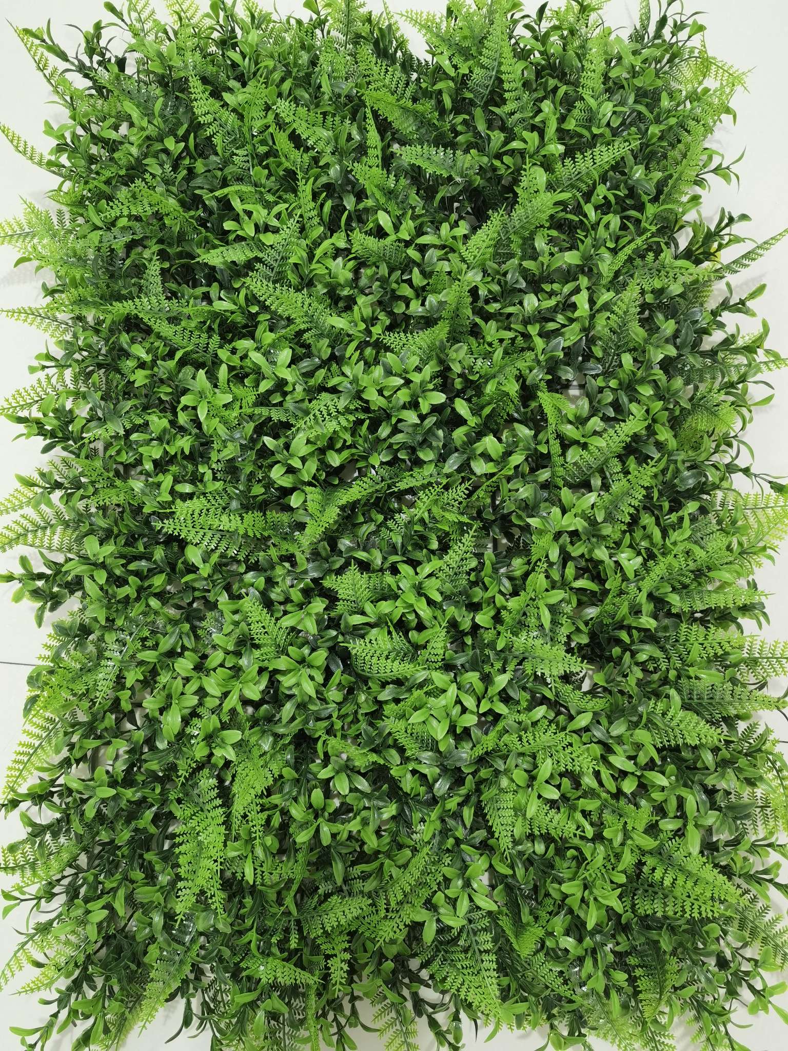 Simulation Plant Wall 40*60 details Picture