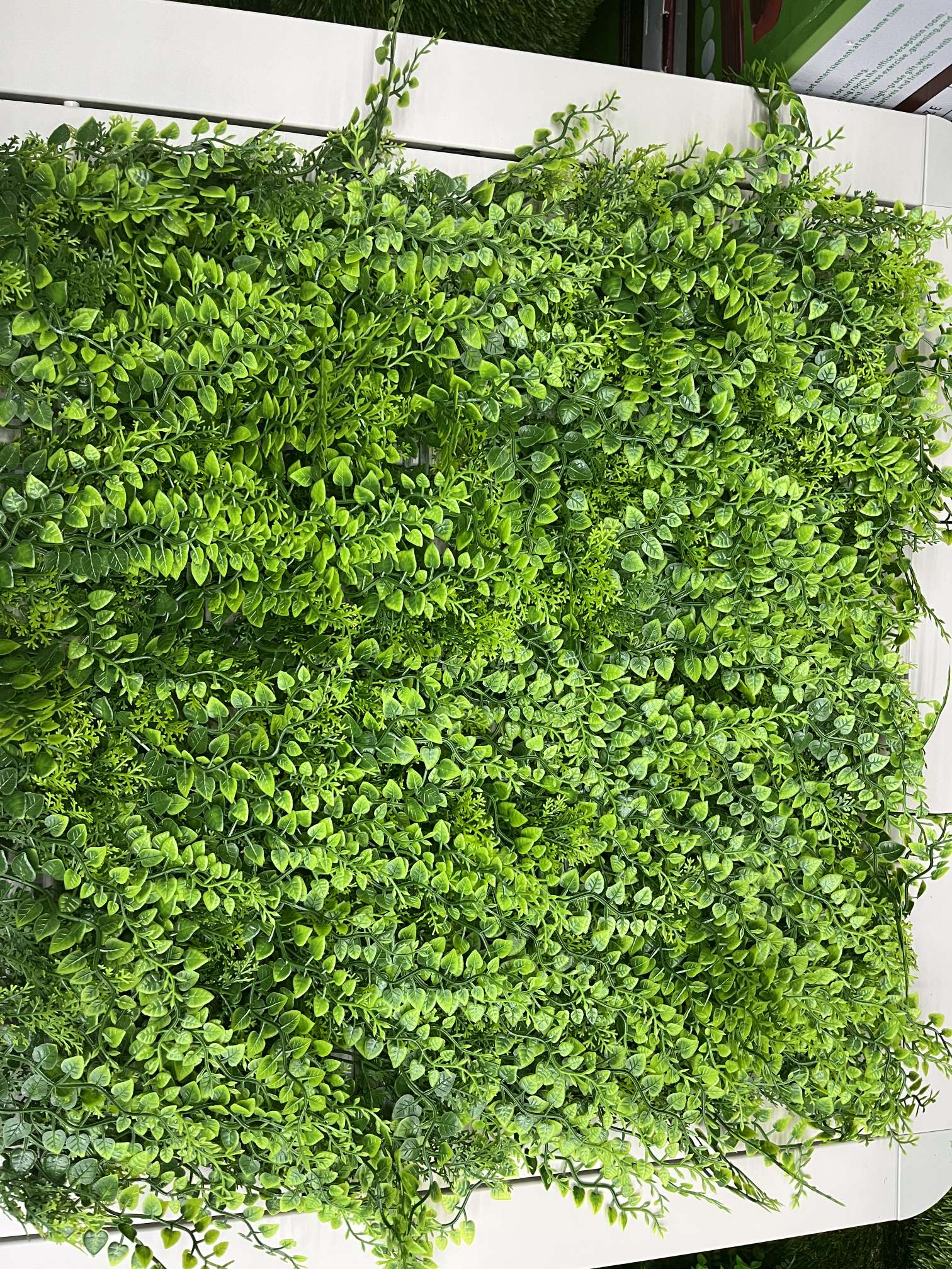 植物装饰墙 草坪装饰