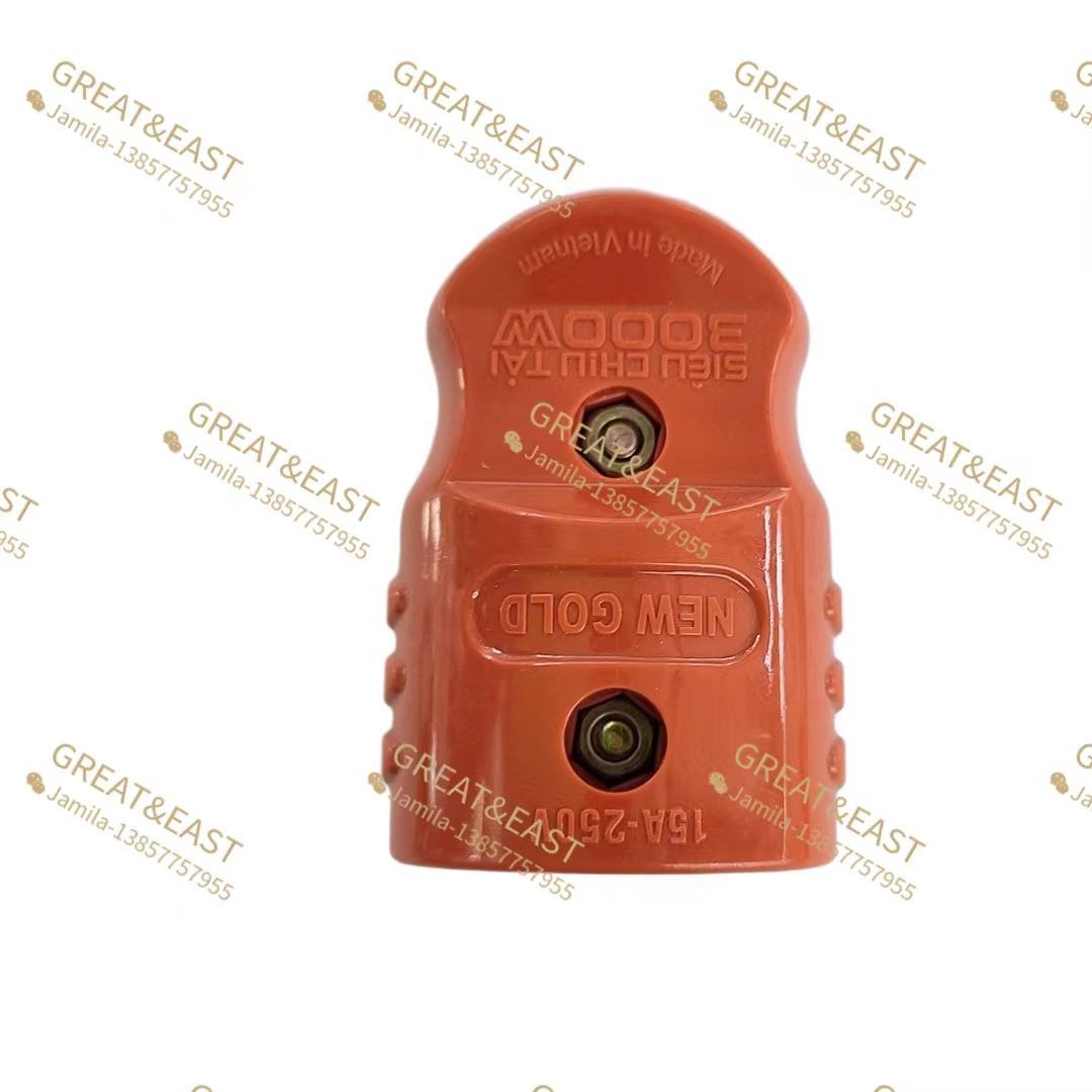 Electrical product Italian socket 2-hole wiring socket details Picture