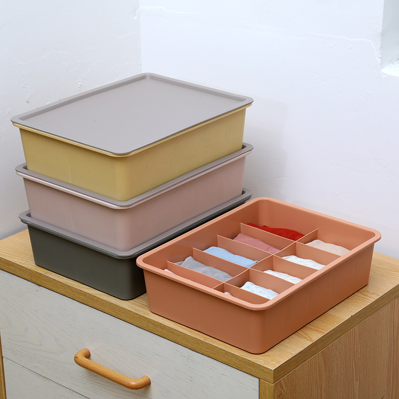 Y165-6017 Household covered storage box, wardrobe multi-compartment storage box, compartments storage basket, room miscellaneous storage box, pantyhose storage box details Picture