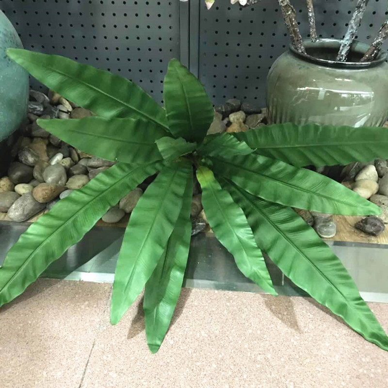 仿真绿植鸟巢蕨大把束 花箱盆栽落地叶子 植物墙过胶手感蕨叶白底实物图