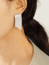 流苏耳环2023年新款轻奢高级感小众设计秋冬法式高端银色耳饰