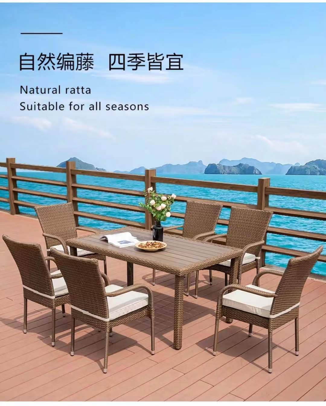 编藤桌椅/花园家具产品图