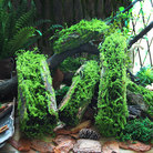 新款仿真造景植物苔藓树皮软装摆放装饰花器悬挂绿植墙面植绒草皮