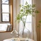 仿真绿植/楠天竹/水培植物/客厅装饰产品图