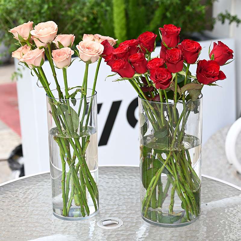 高档透明花瓶/简约轻奢现代/新款养花桶白底实物图