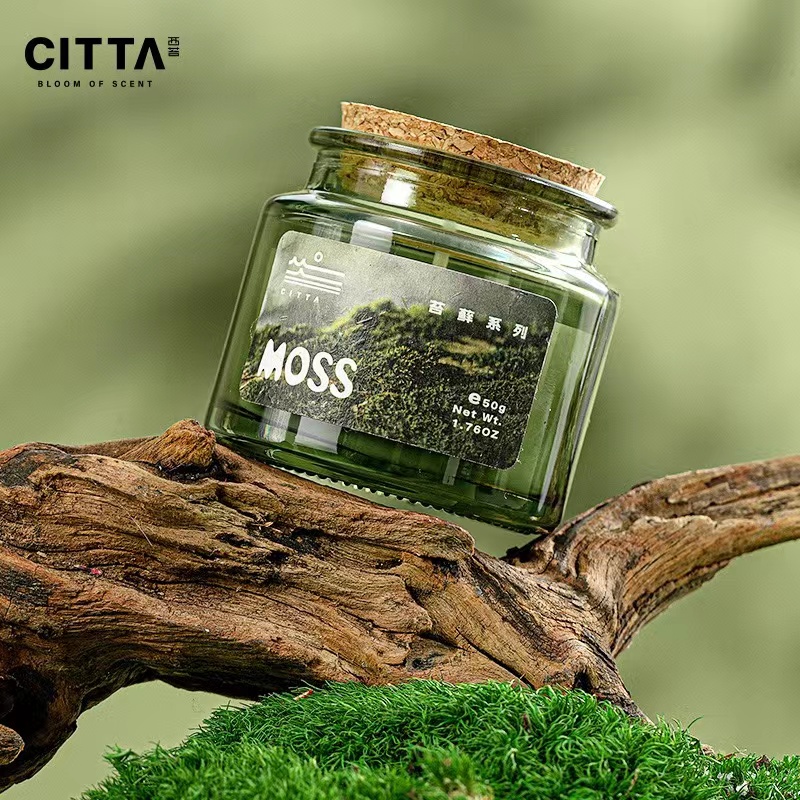 50G Moss Archive Aromatherapy Candle