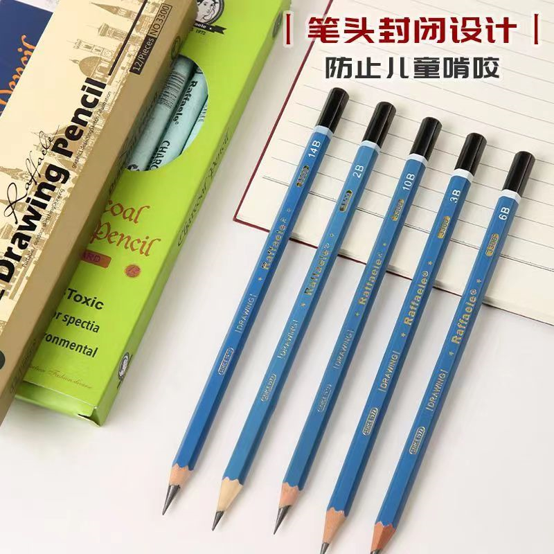 Rafael 14b Sketch Pencil Set 2B, 4B, 6B, 8B Sketch Drawing Pens, 12b soft and hard Charcoal pencils, specifically for art students Specification image