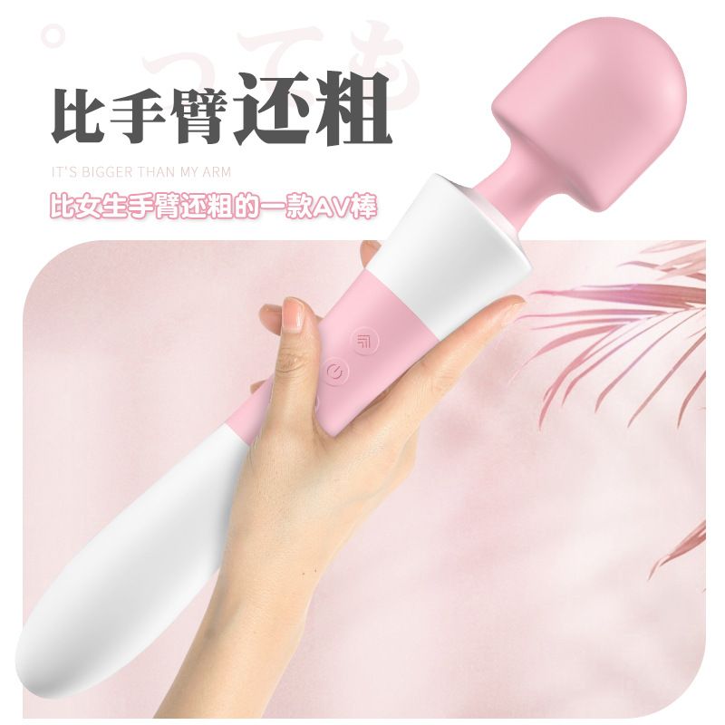 同款成人震动女用情趣用品玩具外贸日本性用品