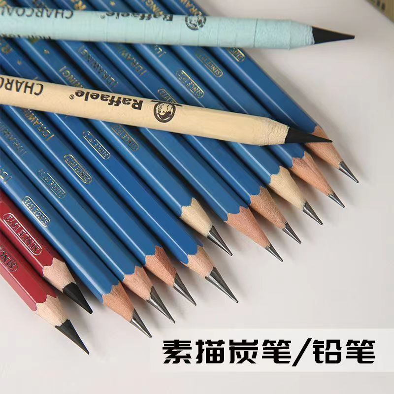 Rafael 14b Sketch Pencil Set 2B, 4B, 6B, 8B Sketch Drawing Pens, 12b soft and hard Charcoal pencils, specifically for art students