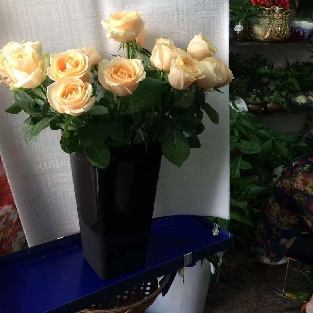 塑料方形花桶/防摔耐磨养花/经典大气细节图