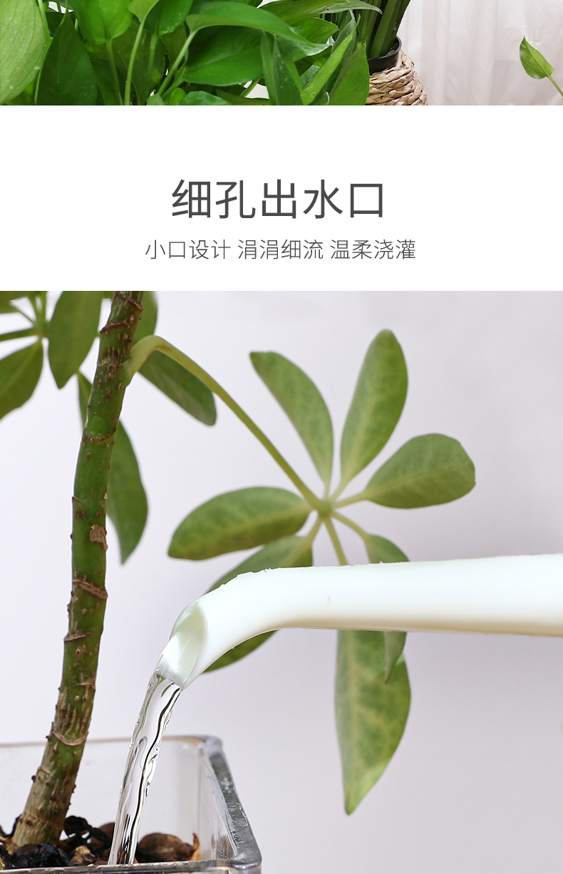 NAKAYA 日本进口园艺植物浇水壶塑料浇花水壶长嘴壶园艺工具详情6