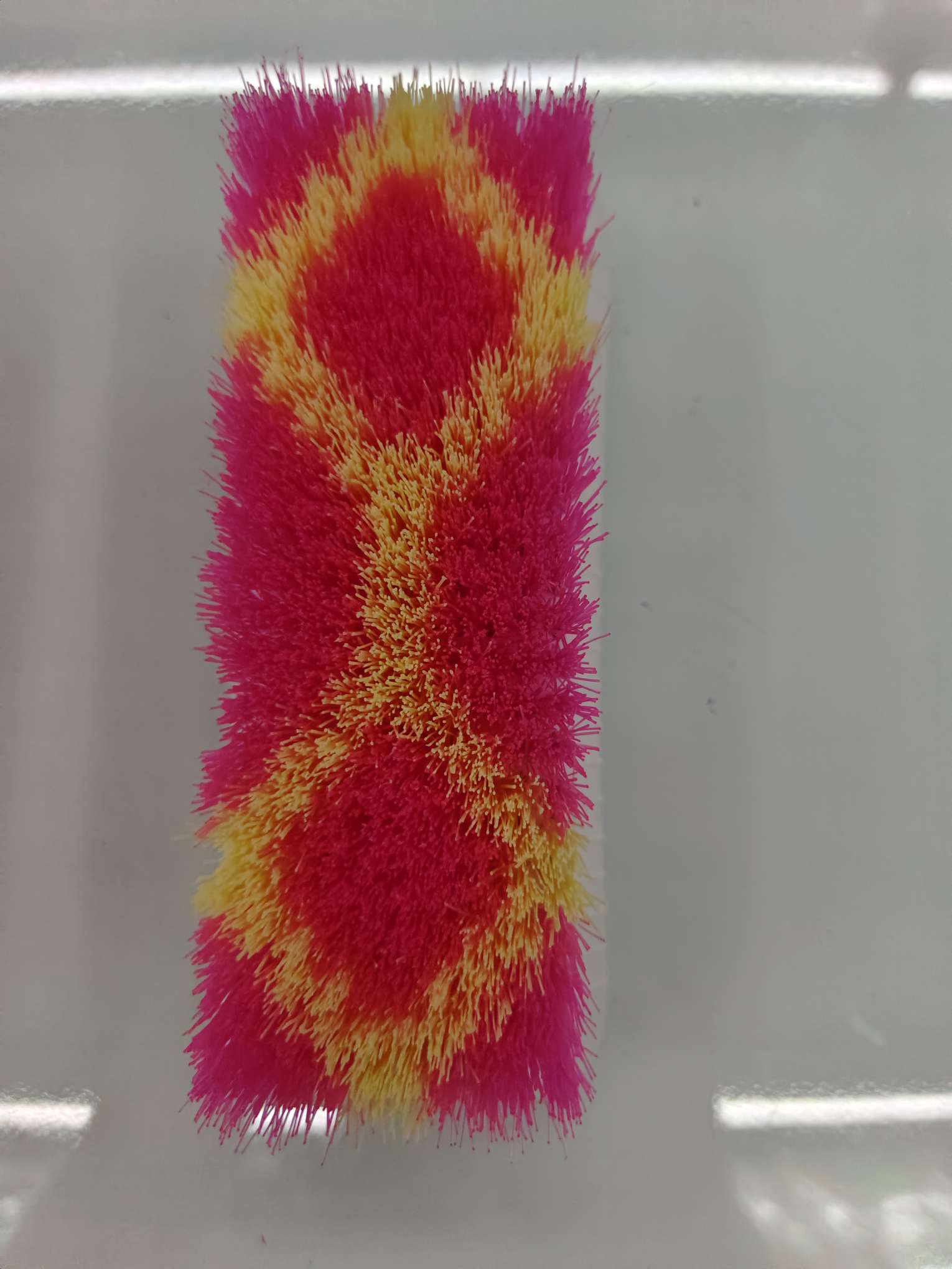 823# Long brush, plastic laundry brush, cleaning brush detail image 7
