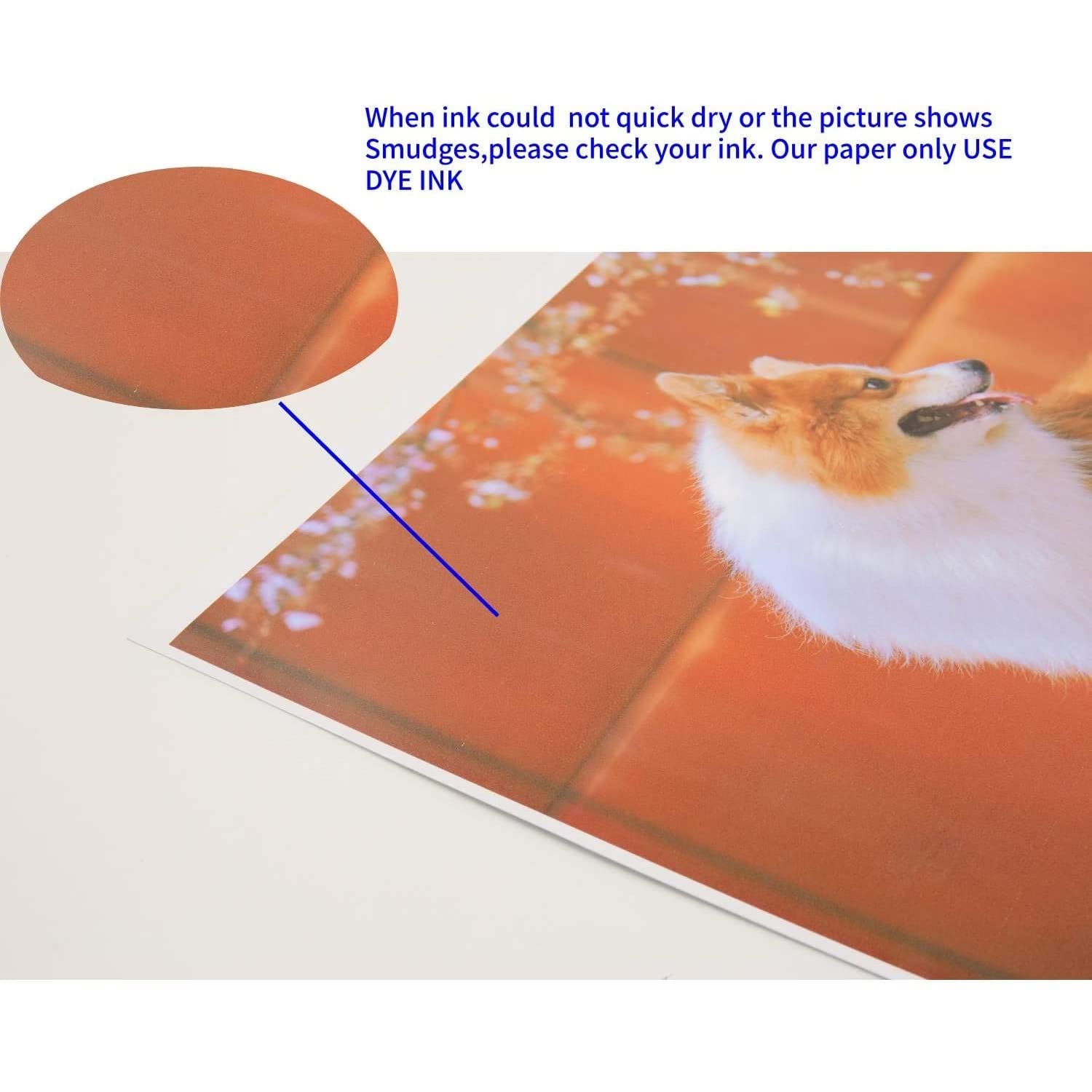 koala high-gloss single-sided photo paper, American standard 8.5*11, photo paper 216*279mm, photo paper 230g, photo paper, photo paper, photo paper details Picture