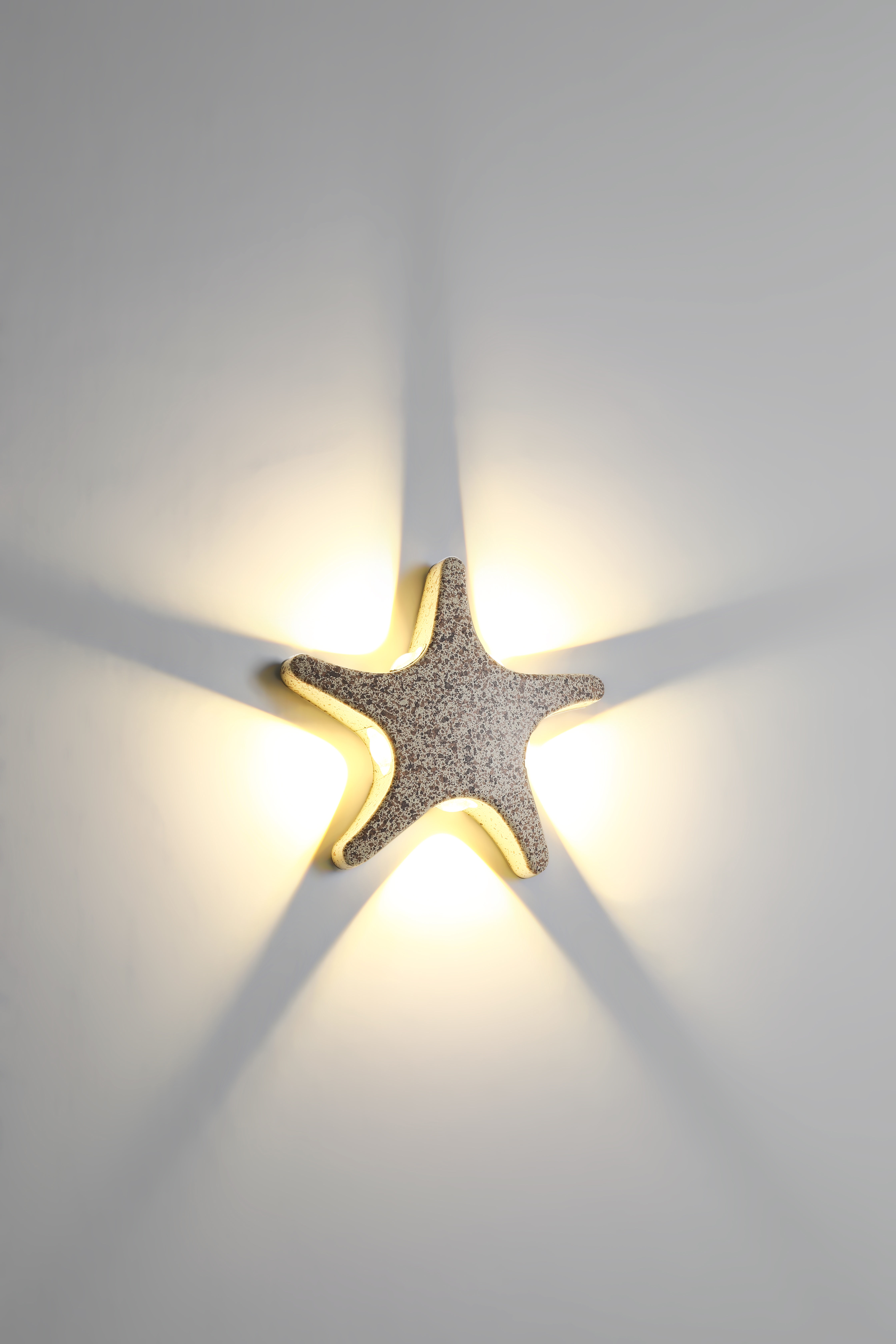 Starfish shape wall lamp multi-light source distribution overall coordination and unity