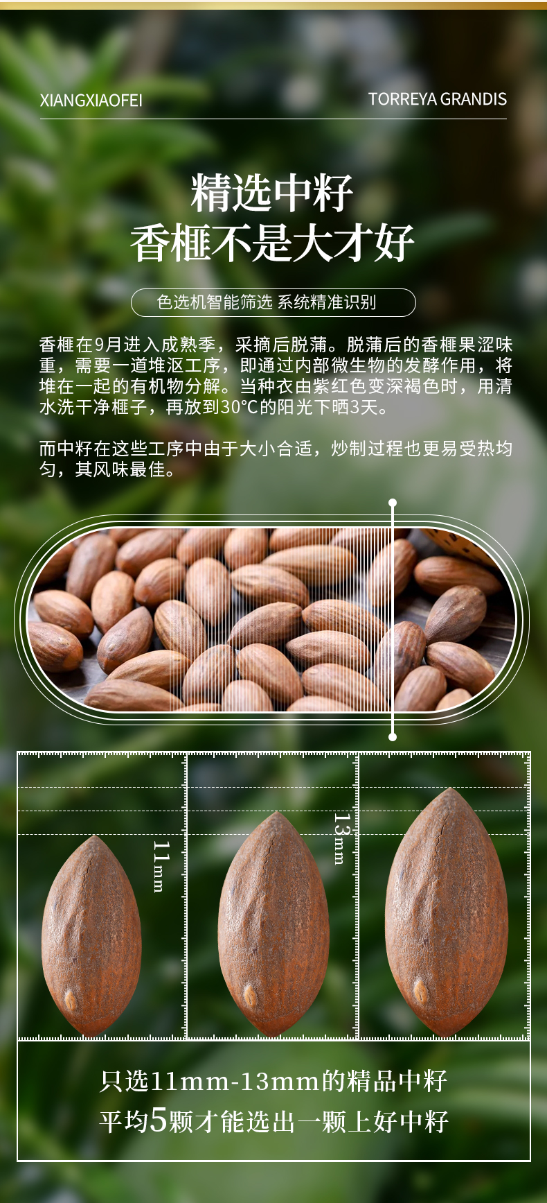 2023香榧新果上市-全新袋装香榧-开口香榧款-125g-80g详情3