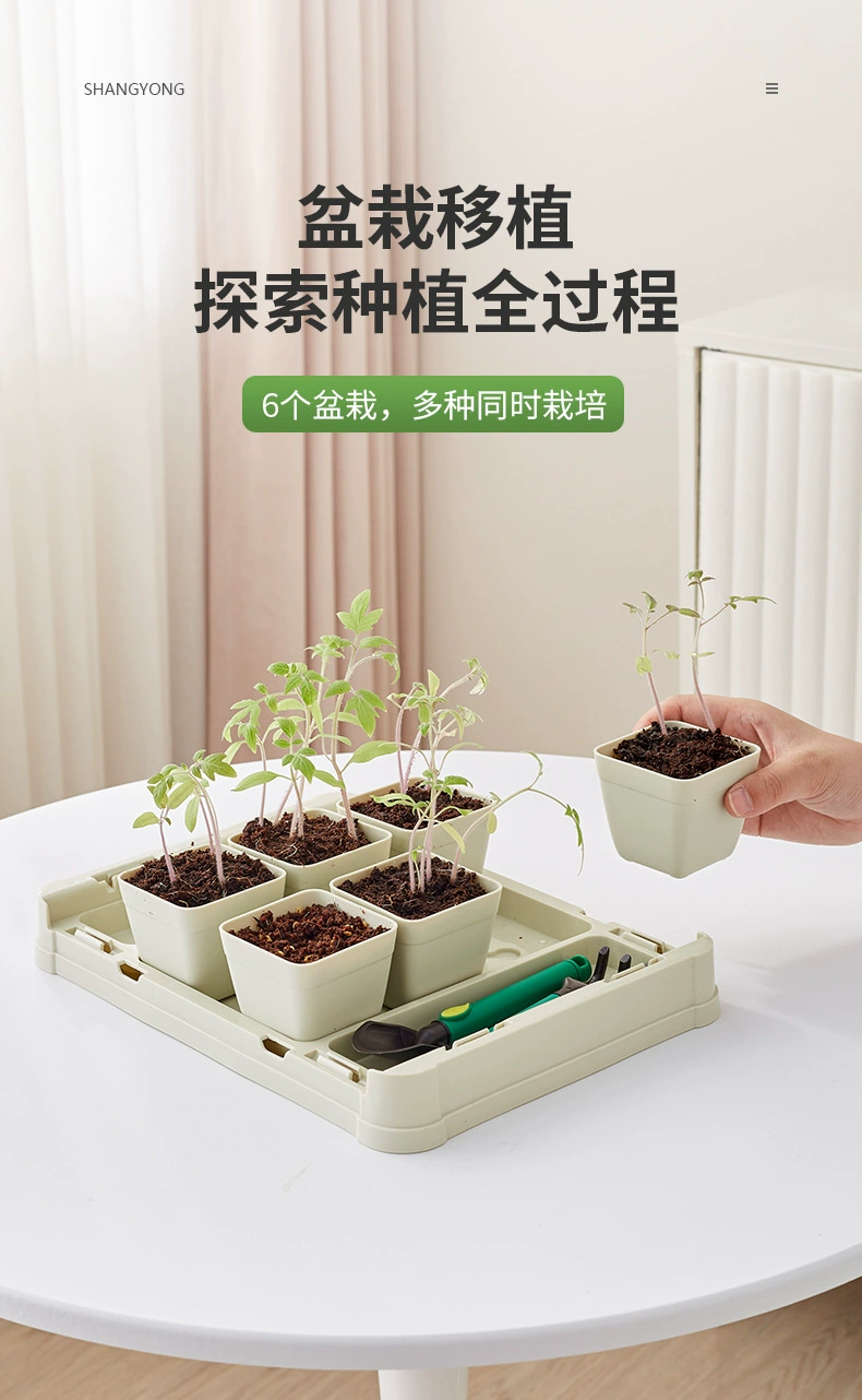 Q04-6028 云朵DIY阳光种植房儿童玩具观察植物生长实验套装礼盒详情图7