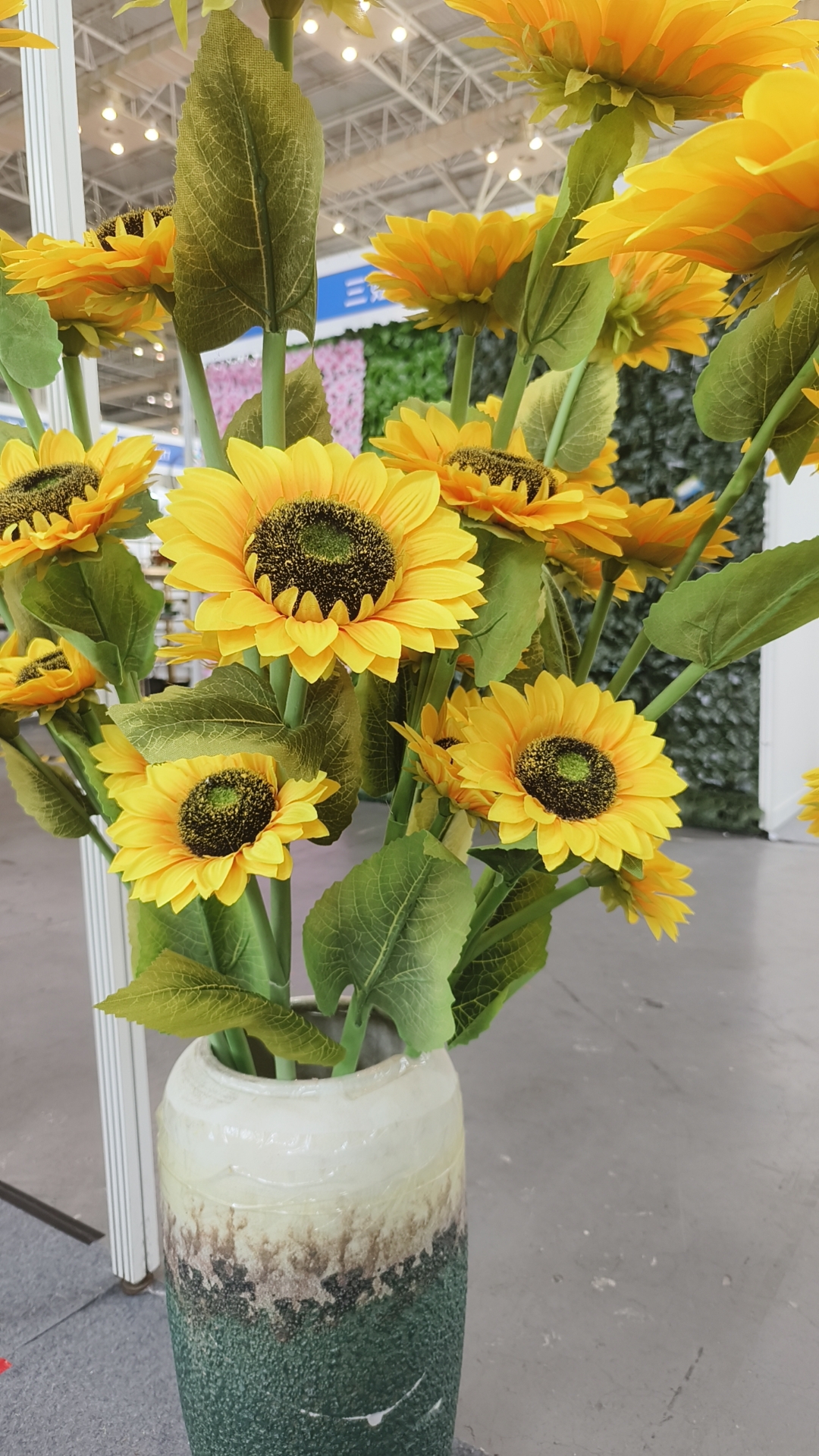 Sunflower 1