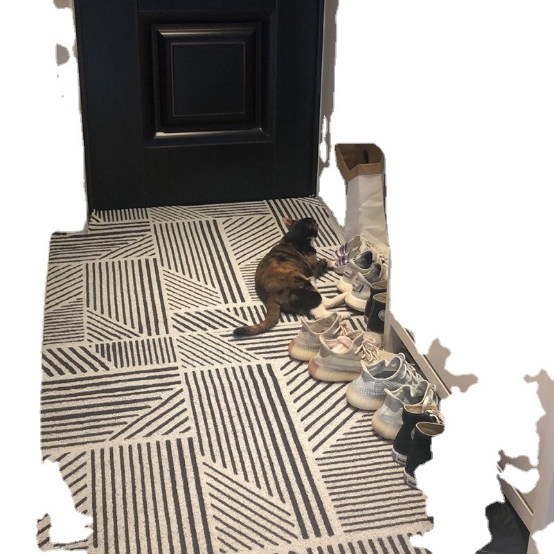 Thousands Of Thought Into The Door Mat Into The Account Foot Mat Silk Ring Dust Carpet Household Non-Slip Porch Can Be Cut A Wholesale Item Picture